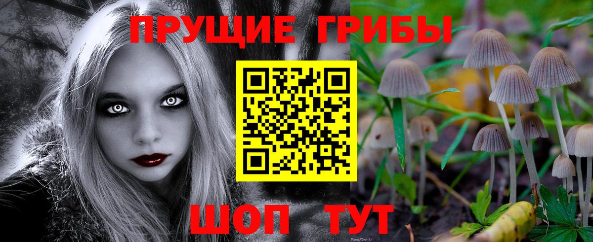 где найти наркотики  Вход с VPN  Великие Луки  Галлюциногенные грибы GOLDEN TEACHER  Галлюциногенные грибы мицелий 