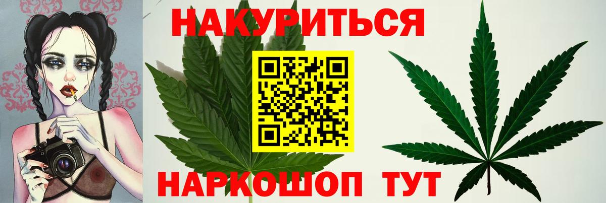 Бошки Шишки Amnesia  Бошки Шишки тримм  Вход с VPN  МАРИХУАНА конопля  Великие Луки 